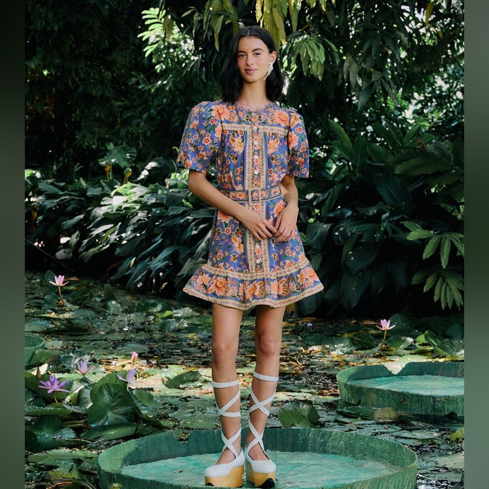 Farm Rio Tapestry Printed Dress